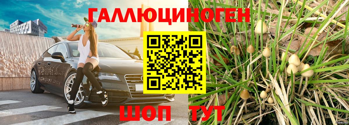 Галлюциногенные грибы GOLDEN TEACHER Балашов