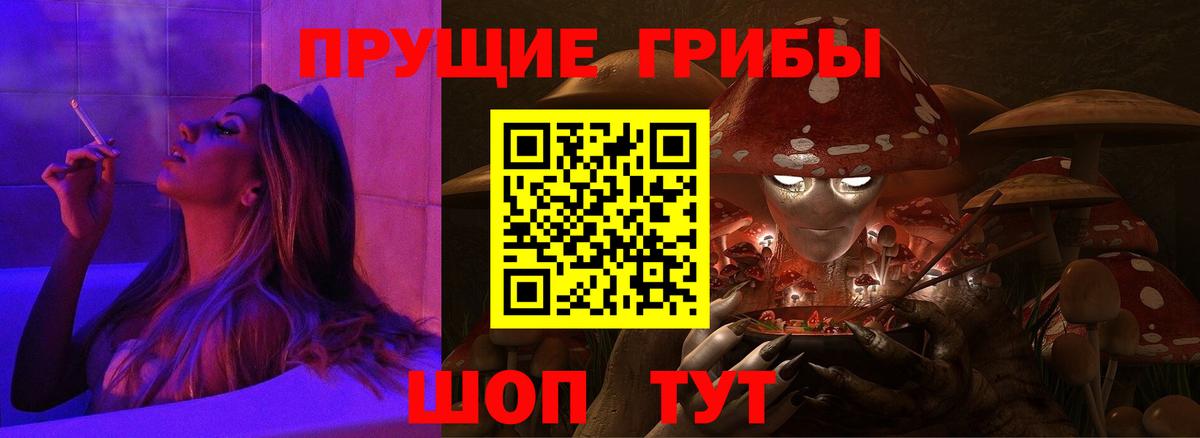 Балашов  Галлюциногенные грибы Magic Shrooms  Вход с VPN 